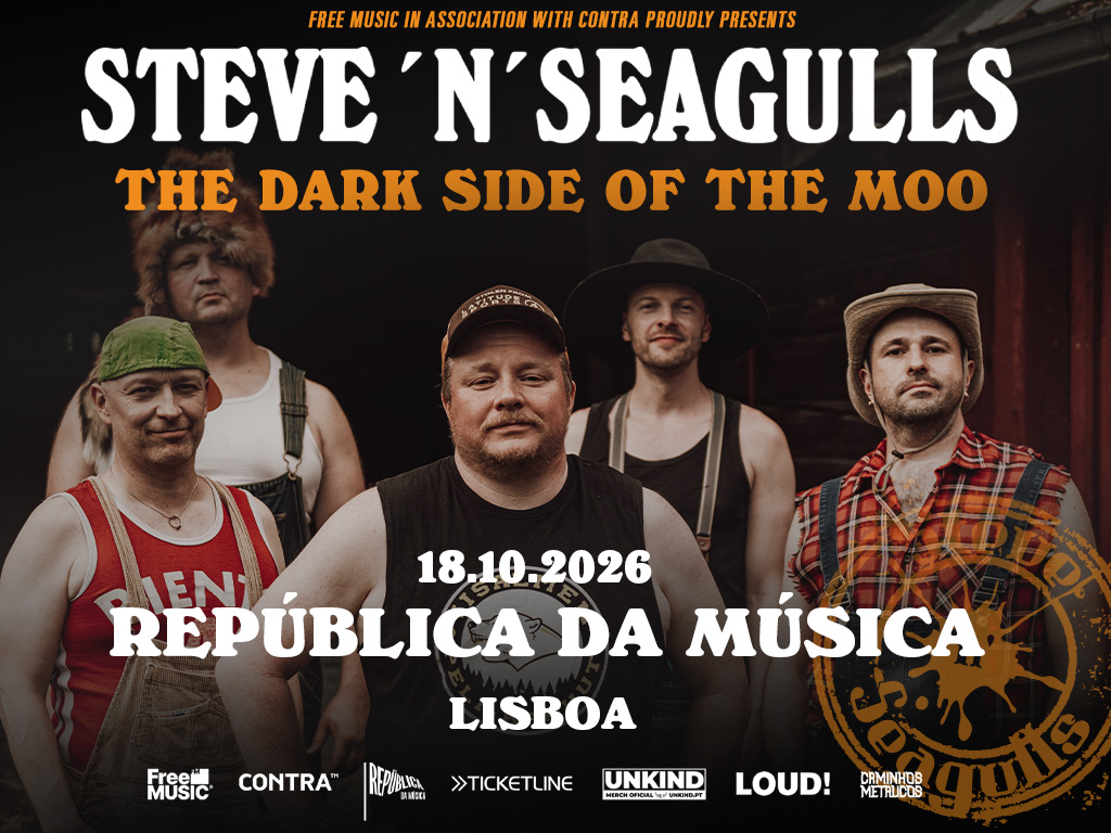 Steve n' Seagulls